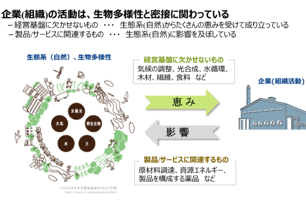 【ISO14001】環境方針に「生物多様性及び生態系の保護」に対する約束を含み得る ‐ 8.5.c)　