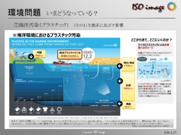 【ISO14001を知る１】海洋汚染（プラスチック）生態系への影響